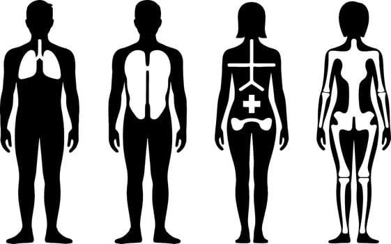 Human Body Anatomy Internal Organs Skeleton Male Female Medical Concept vector