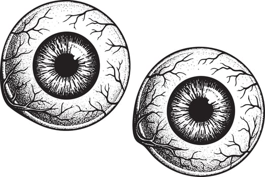 Illustration of two eyeballs in vintage stipple engraving style isolated vector