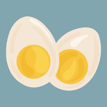 Boiled egg halves. For breakfast illustrations, food packaging. vector