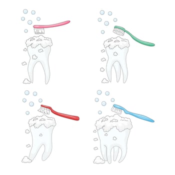 white background, set of teeth, personal hygiene procedure for cleaning the surface of the teeth from food debris and soft plaque, performed with a toothbrush and toothpaste vector