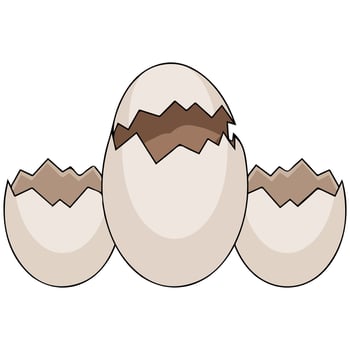 Reptile eggs half hidden in beach sand nature vector