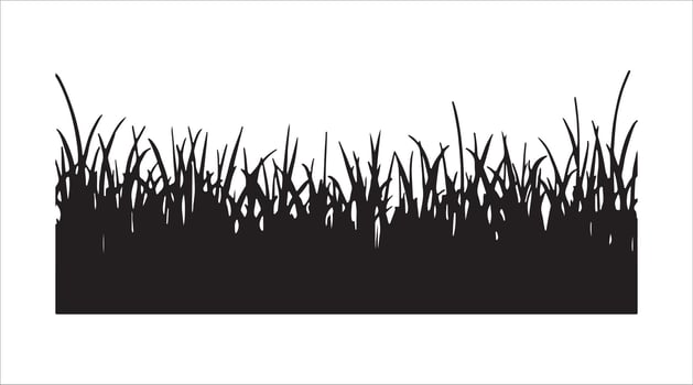 Vibrant green grass. Elements in a field that stand alone. Spring and summer hand-drawn herbs, with a sketchy style of park lawns and meadows, showcasing cartoon flat botanical elements. vector
