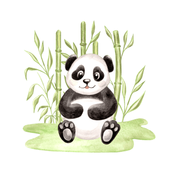 Cute baby panda surrounded by green bamboo watercolor illustration for baby designs. Hand drawn isolated funny little chinese bear in black and white color. Adorable character for childrens themes. png