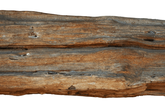 wooden texture surface isolated png