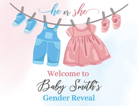 Gender reveal welcome poster Baby boy and girl hanging clothes vector