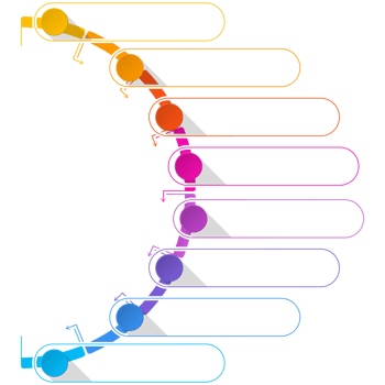 Basic infographic template 8 steps, process or options. png