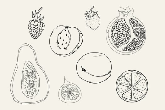 Sketch set fruits, hand-drawn tropical fruits and berries. Sweet fresh sliced kiwi, peach and pomegranate, cute cherry and strawberry. Pear with leaves. Coconut slice and half figs. vector