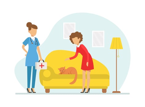 Vet Clinic Service, Veterinarian Doctor Visiting and Treating Cat at Home Cartoon Illustration vector