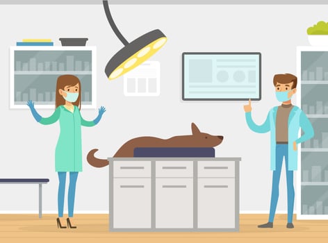 Veterinary Clinic Medical Doctor Examining and Treating Pet Dog Animal, Vet Clinic Interior Illustration vector