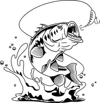 Black And White Monster Fish Illustration With Sharp Teeth And Lure Attack vector