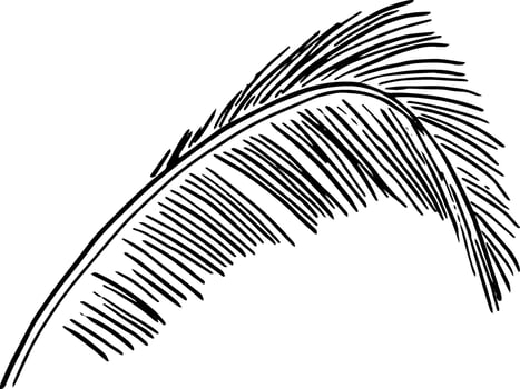 Tropical Frond Line Art for Eco Product Labeling vector