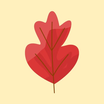 Beautiful leaf at autumn season vector
