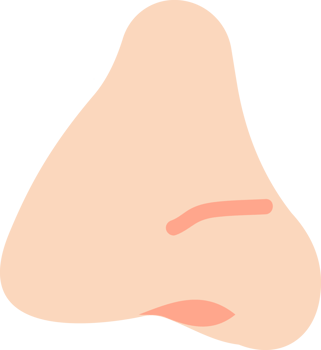 cartoon nose flat icon png