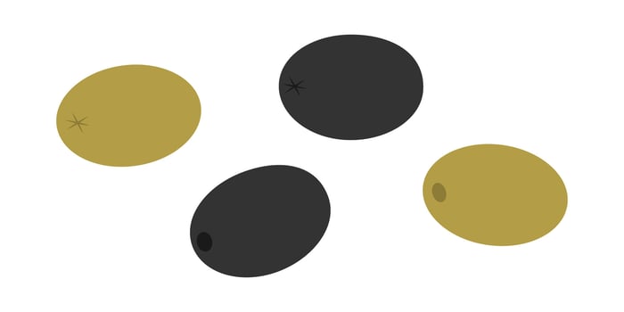 Olives Black and Green Fruit Front and Back view Greek salad Traditional ingredient freehand element. Isolated illustration Food Themes Cards, menu, poster or banner, leaflets, label, price tag vector