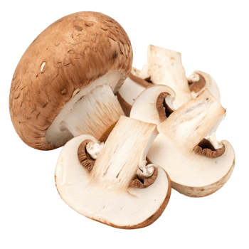 Fresh brown mushrooms isolated on transparent background png