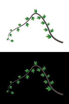 Elegant Branch with Green Leaves Illustration vector