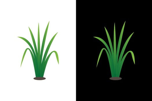 Vibrant Green Plant on Contrasting Backgrounds vector