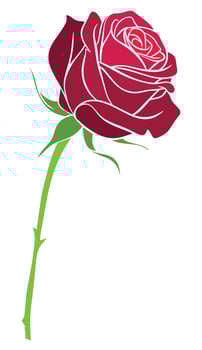 Lively rose artwork, colored floral drawing, graceful rose vector