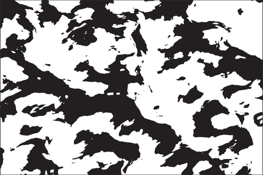 Monochrome Abstract Camouflage Splatter Texture vector