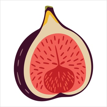 Fresh fig halves illustration. Juicy exotic fruit slice illustration ideal for health food packaging and Mediterranean recipe visuals. vector