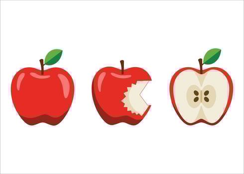 Flat apple collection . Bitten fruit, core and text in playful colorful style. vector