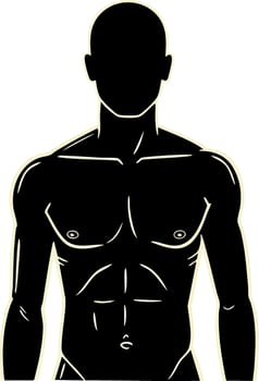 Male torso silhouette with muscular chest and defined abs artistic black and white design vector