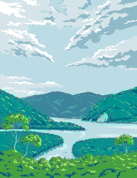 Amami Gunto National Park in Japan ukiyo e Retro Woodblock Style vector