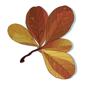 Hand-drawn autumn colored fall textured leaf isolated on white background. vector