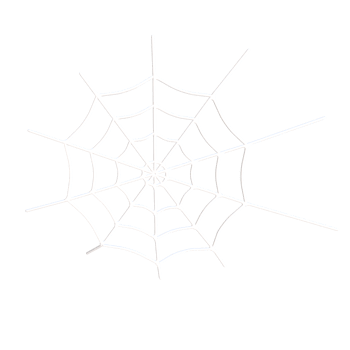 Spider Webs 3D Ilustration png