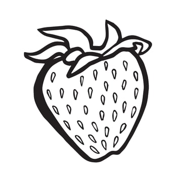 Strawberry hand drawn isolated illustration for food product desing. Fresh garden berry black and white sketch, healthy food. Summer fruit in line art style for cosmetic and textile. vector