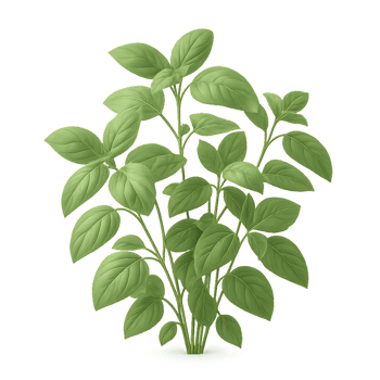 3D Render of Lush Herbal Plant with Green Leaves in Natural Setting png