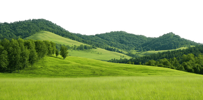 Lush green meadow in foreground with forested hills isolated on transparent background png