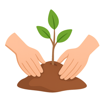 Hands Planting a Young Tree in Soil with Fresh Green Leaves png