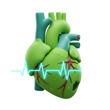 A green, cartoon styled human heart with visible arteries and a neon blue vital sign line represents health monitoring or medical illustration. png