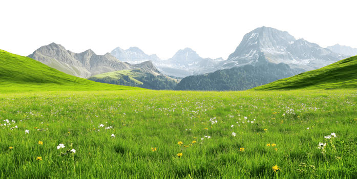 Lush green meadow filled with wildflowers and distant mountain peaks isolated on transparent background png