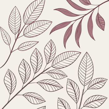 Elegant Hand Drawn Botanical Line Art Background vector