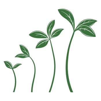 Green sprouts growing plants signs Illustration vector