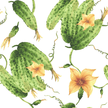 Cucumbers plant watercolor seamless pattern with yellow flowers, tendril, buds and leaves. Hand drawn watercolor illustration. Clipart for eco vegetable crop packaging, fabric Isolated from background png