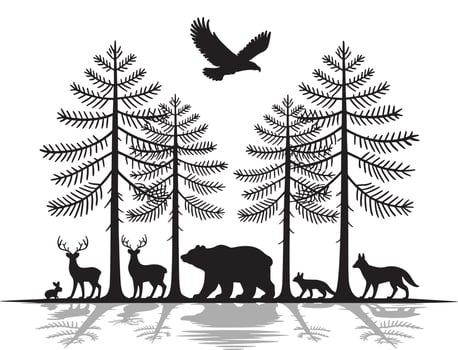 Wildlife Animals with Bear, Deer, Fox, and Eagle Silhouette in Forest with Reflection, Nature Scene vector