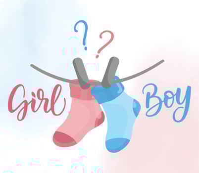 Gender reveal greeting card Pink and blue baby socks Boy or girl vector