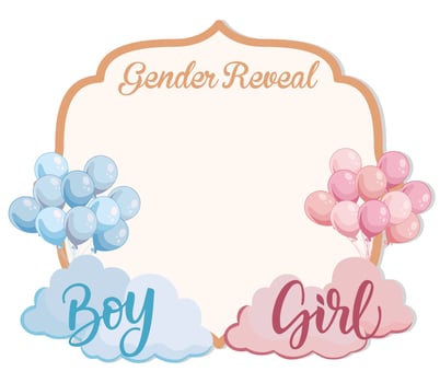 Gender reveal frame with pink and blue balloons clouds Boy or girl vector