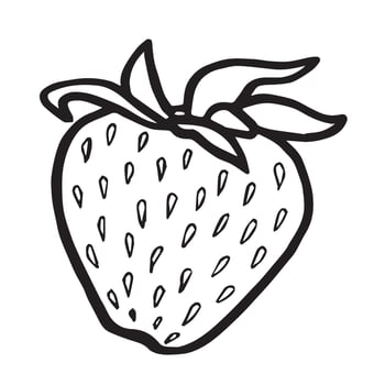 Strawberry isolated illustration for food desing. Fresh garden berries black and white sketch, organic healthy food. Summer fruit in line art style for cosmetic and textile. vector