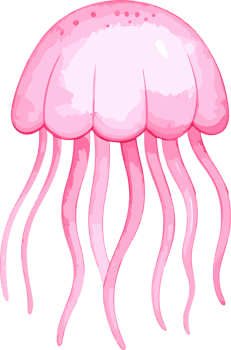 Jellyfish watercolor illustration png