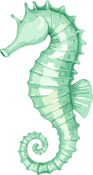 Seahorse watercolor illustration png