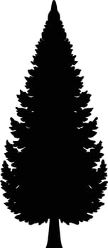 Silhouette of a tall evergreen coniferous tree vector
