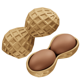 Peanuts Open Shell and Whole Groundnuts icon 3d rendering illustration png