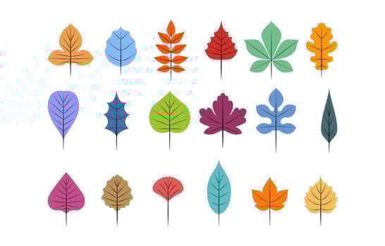 trendy geometrical autumn leaf collection vector