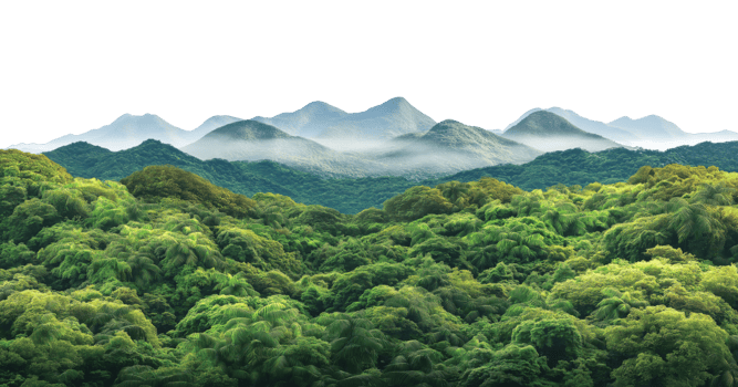 Layered mountain silhouettes with morning mist and rainforest isolated on transparent background png