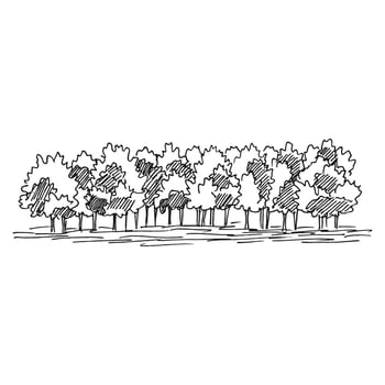 Nature illustration with forest. Hand drawn . vector