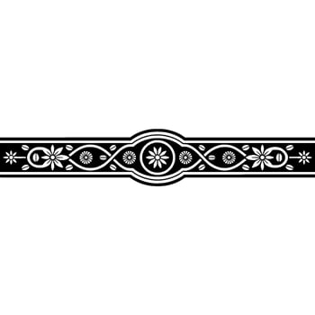 Elegant Vintage Border, Decorative Ornamentation, Ornament vector